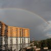 Дипломы